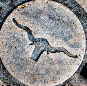 Longhorn Manhole Cover Coaster